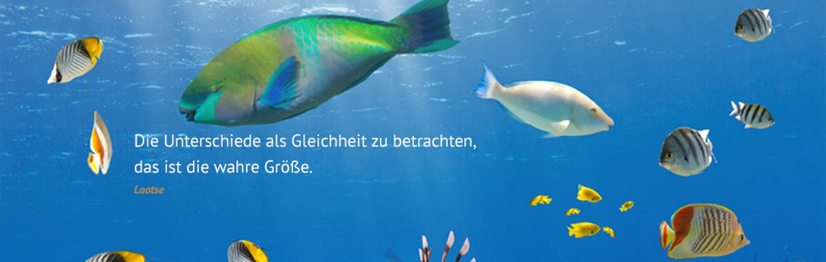Interkulturelles Coaching